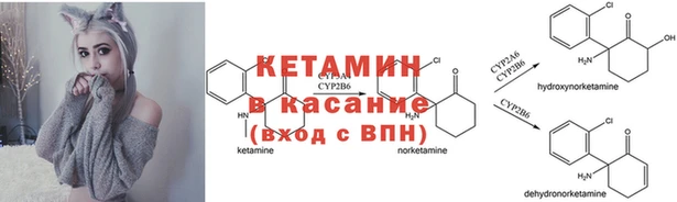 спиды Богданович